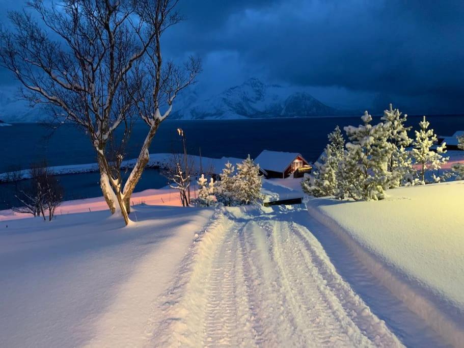 Leilighet I Rorbu Pa Kaldfarnes - Yttersia Senja Exteriér fotografie